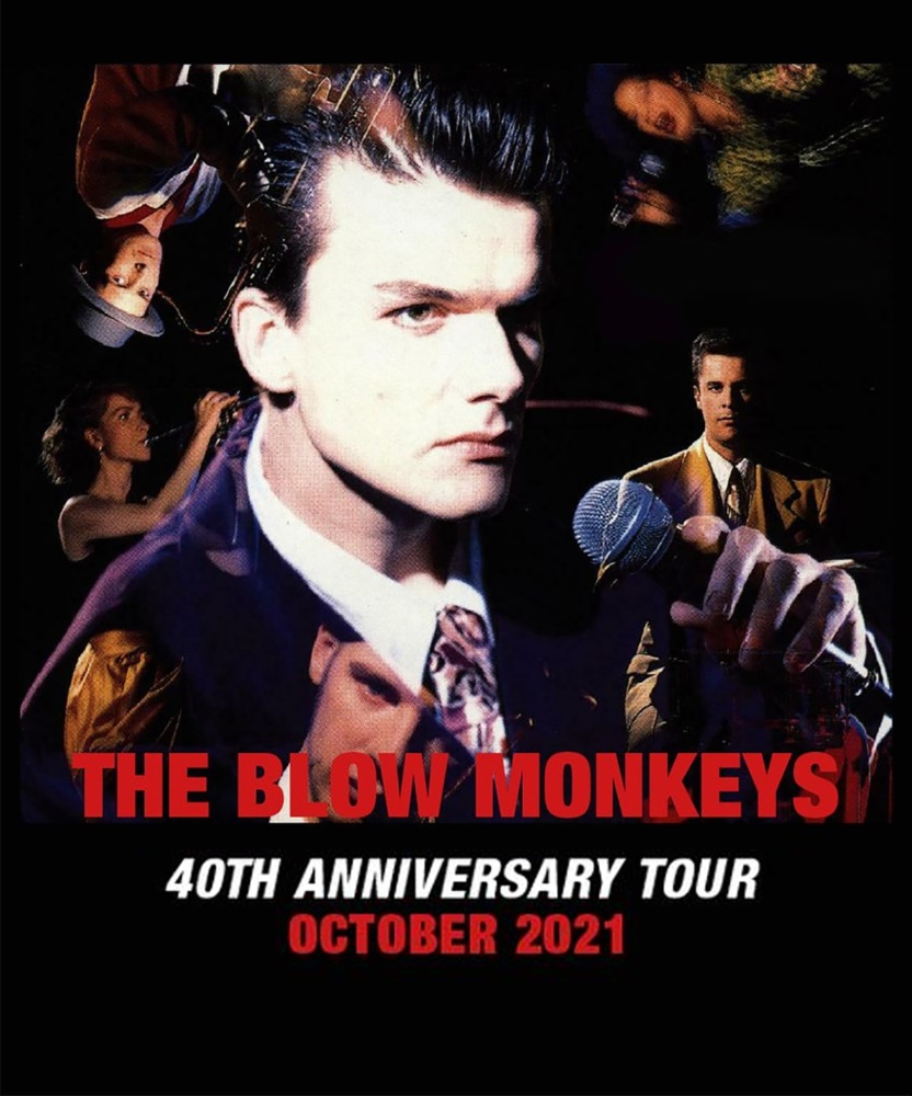blow monkeys tour