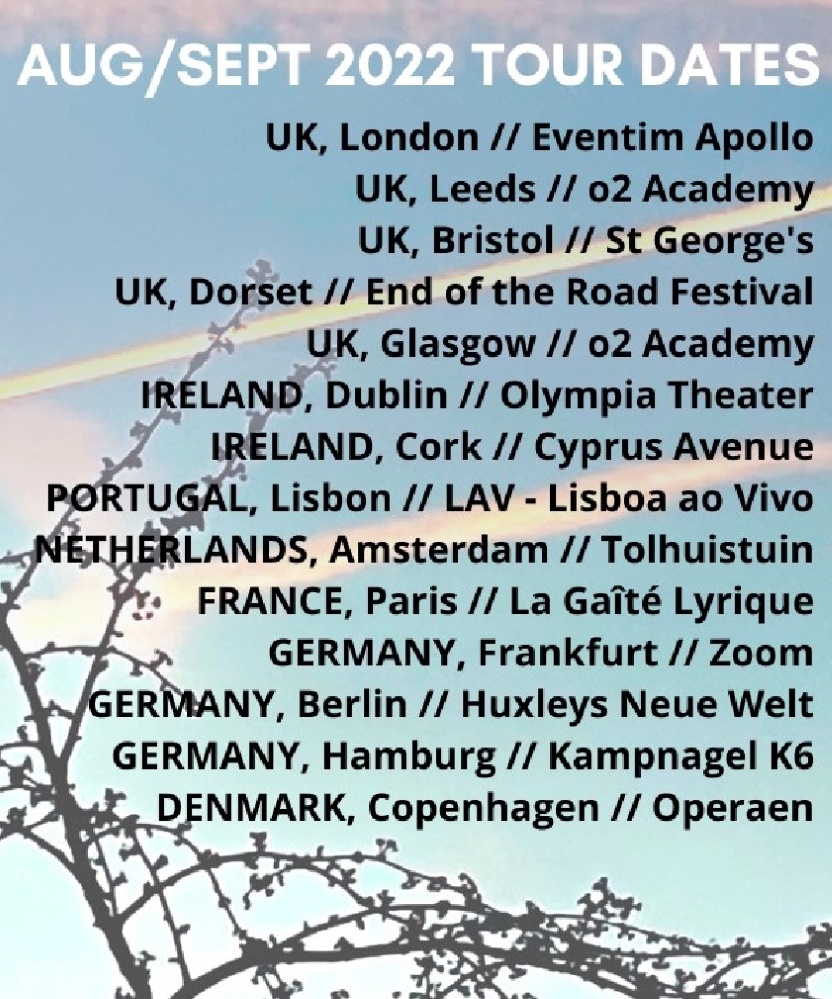 magnetic fields tour dates 2022